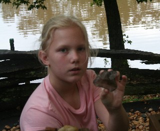 goldngemgrubbinga03.jpg